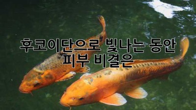 후코이단으로 빛나는 동안 피부, 비결은? ✨