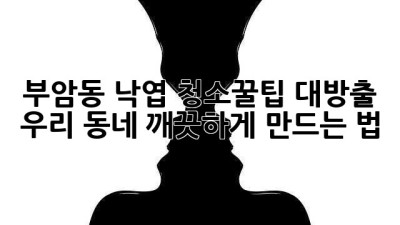 부암동 낙엽 청소🍂꿀팁 대방출! ✨우리 동네 깨끗하게 만드는 법