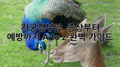 자궁경부암 🚨 증상부터 예방까지! A to Z 완벽 가이드 💖