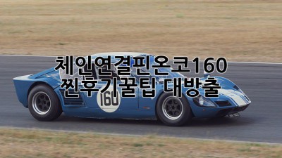 체인연결핀온코160 찐후기✨꿀팁 대방출🍯